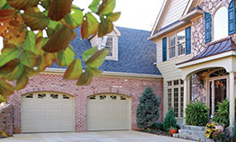 Traditional Doors